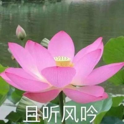 江西南昌糖画非遗传承人40载坚守 让“甜蜜”艺术焕发新生